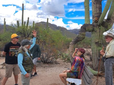 Saguaro: A Desert Giant