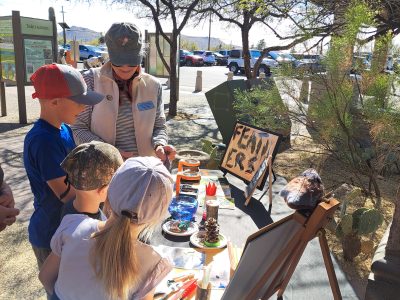 Quail Corner for Kids has hatched!