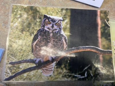 Elementary Spiffenkitz Committee Requests Your Contributions – by Helene Rothstein