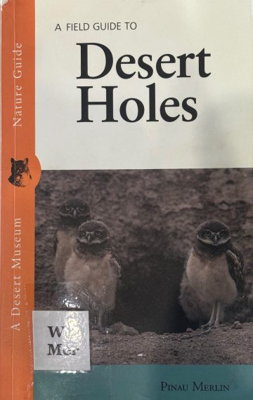 A Field Guide to Desert Holes
