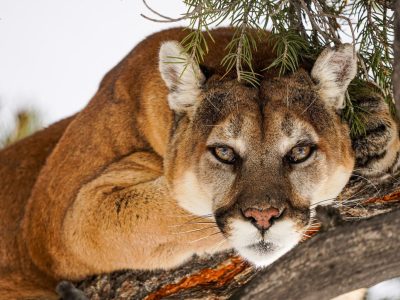 Last Chance! Register for Dave Dean Talk on Tuesday 11/19, 130pm