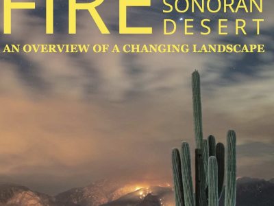 Background of Local Wildfire Conditions