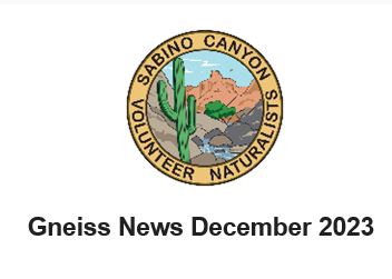 Short survey on Dec Gneiss News