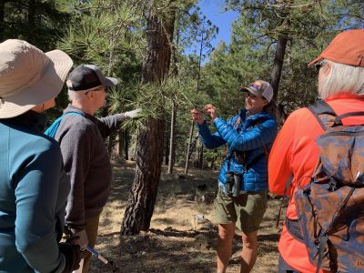 Thank you Ann Nierenberg