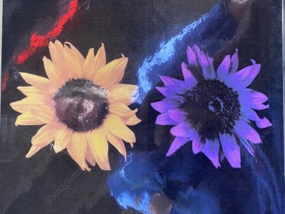 POP Review Rescheduled for January 5th