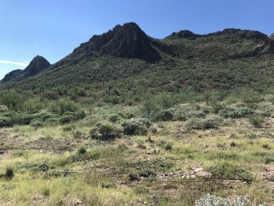 Two More Chances to Tour the Waterman Restoration Site, this Sat or Sun, 8am 1