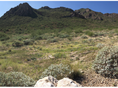 You are invited to a Private Tour of the Waterman Restoration Project, Sunday Oct 2nd at 8am (corrected)