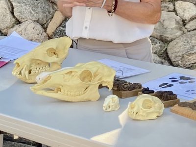 WEB Kit Review- Nov 7, 2pm