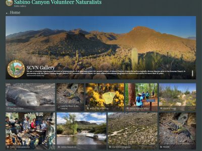 NEW: SCVN Public Gallery & Member Archive