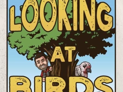 Looking At Birds podcast