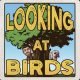 Looking At Birds podcast