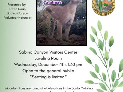 David Dean's Mountain Lion Talk Redux