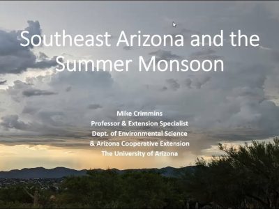 Southeast Arizona and the Summer Monsoon