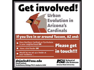 Cardinal Research Study Seeking Help & BIRDS 2