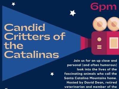 Candid Critters of the Catalinas