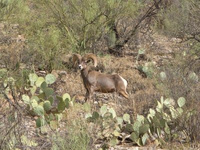 Visitor near the one-mile marker